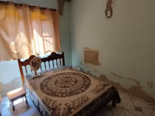 Imagem do imóvel SC76169