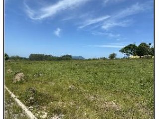 Imagem do imóvel TE90529