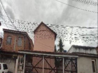Imagem do imóvel CA80656