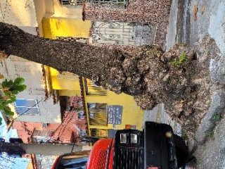 Imagem do imóvel CA25246