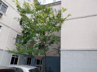 Imagem do imóvel AP22859